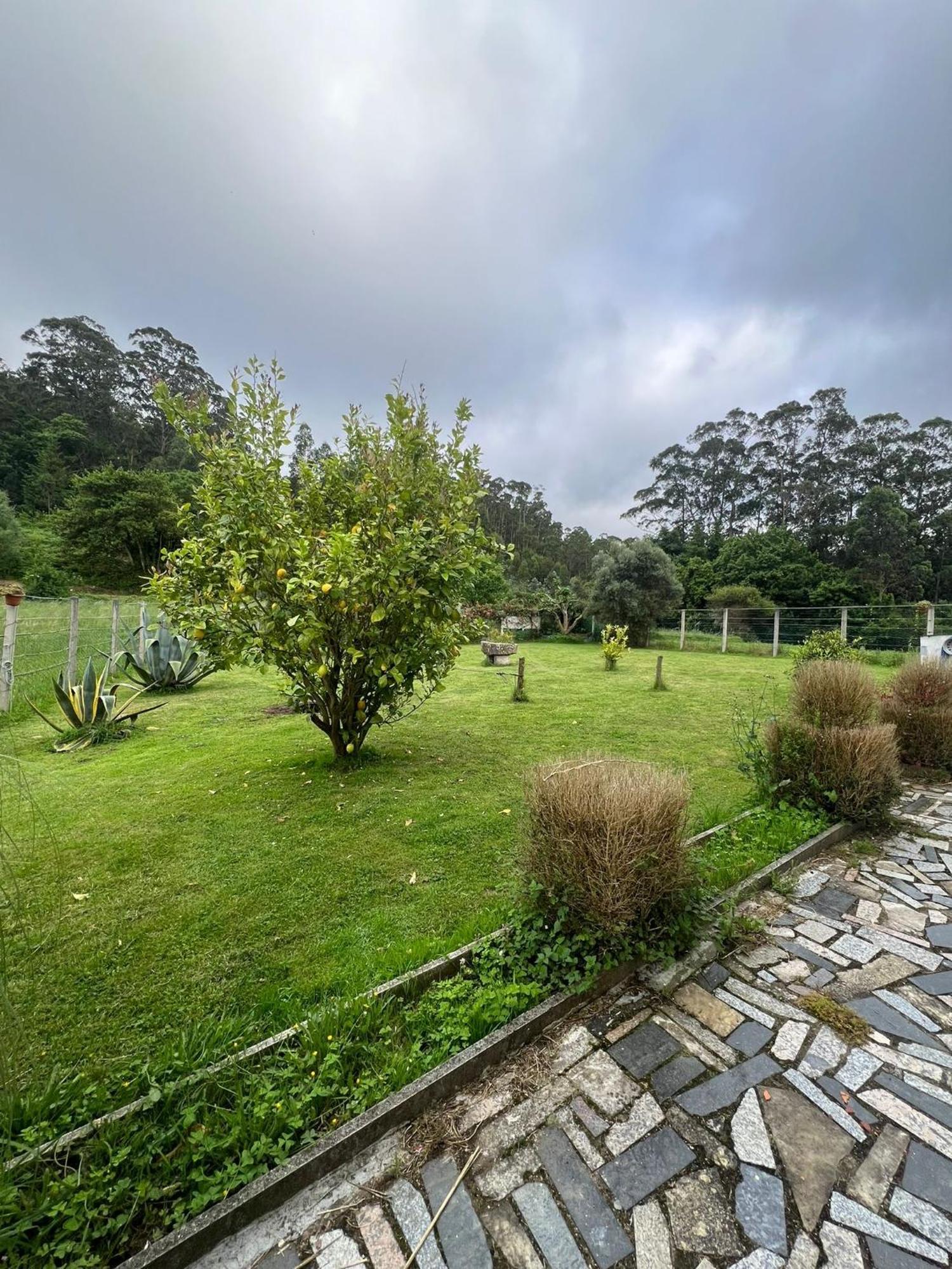 Adosada 2 Viveiro